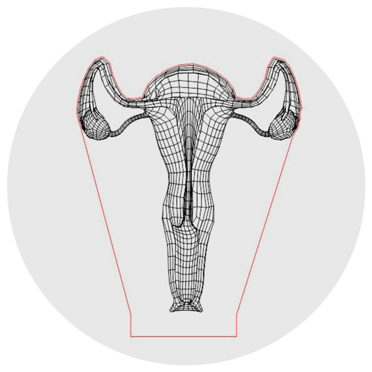 Lámpara 3D Led Útero Anatomía Cuerpo Humano