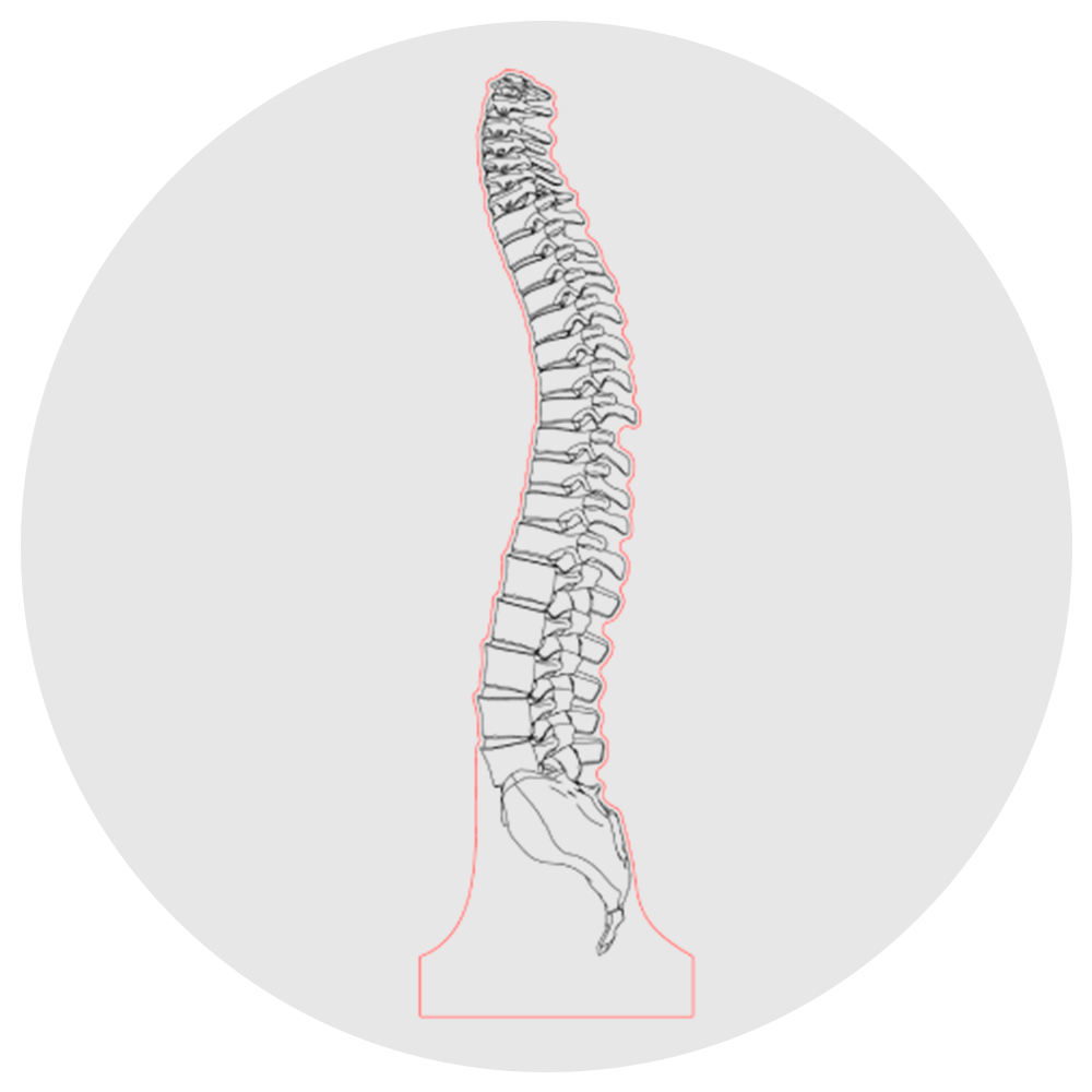 Lámpara 3D Led Columna Vertebral Anatomía