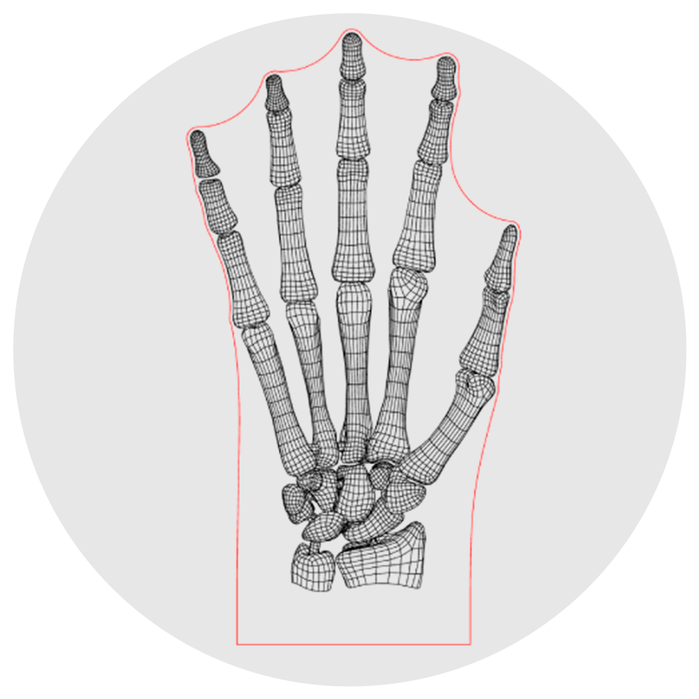 Lámpara 3D Led Huesos de la Mano Anatomía