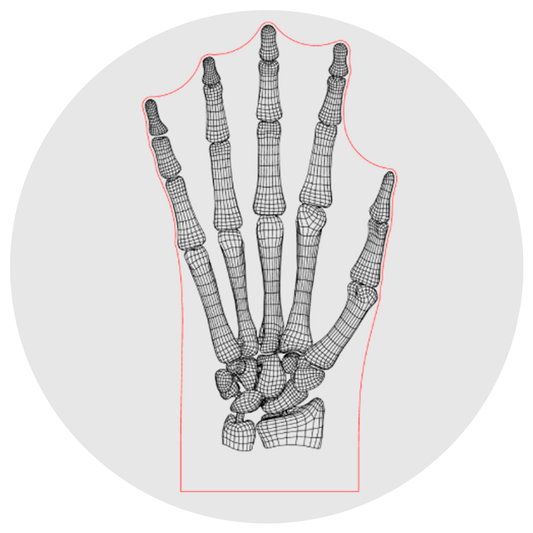 Lámpara 3D Led Huesos de la Mano Anatomía