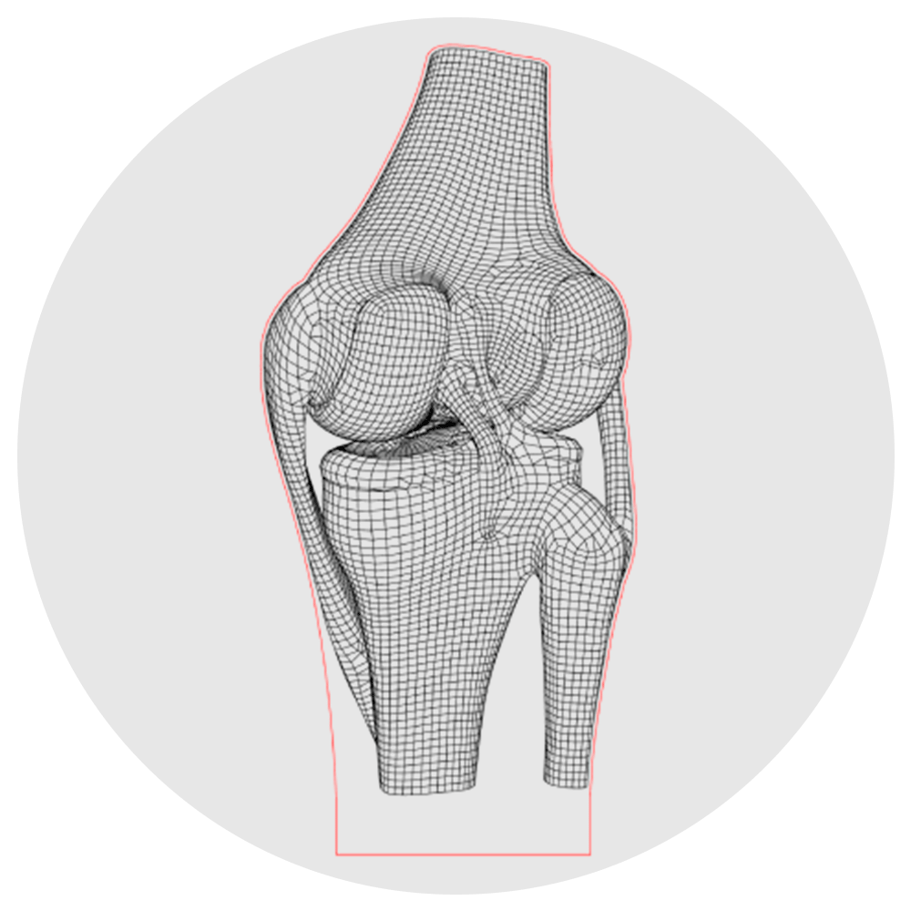 Lámpara 3D Led Articulación de la Rodilla Anatomía