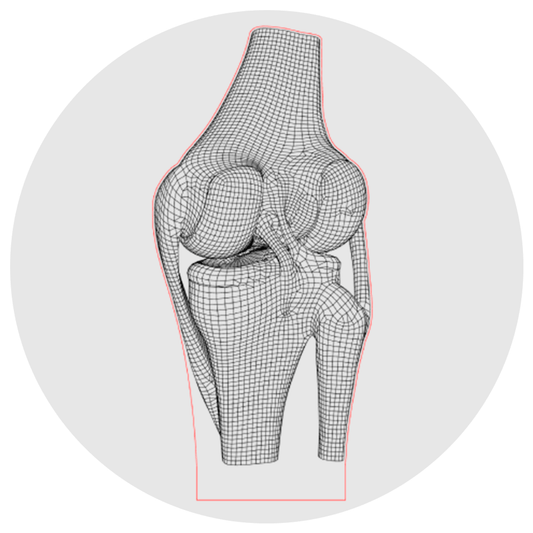 Lámpara 3D Led Articulación de la Rodilla Anatomía