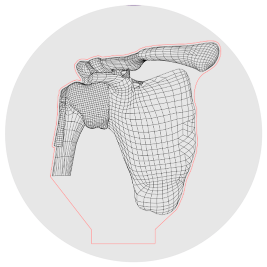 Lámpara 3D Led Articulación de Hombro Anatomía