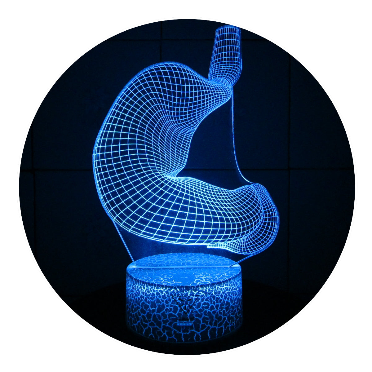 Lámpara 3D Led Estómago Anatomía Cuerpo Humano