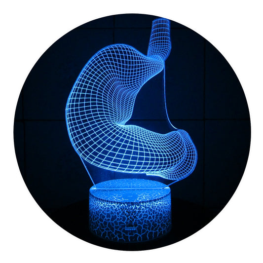 Lámpara 3D Led Estómago Anatomía Cuerpo Humano