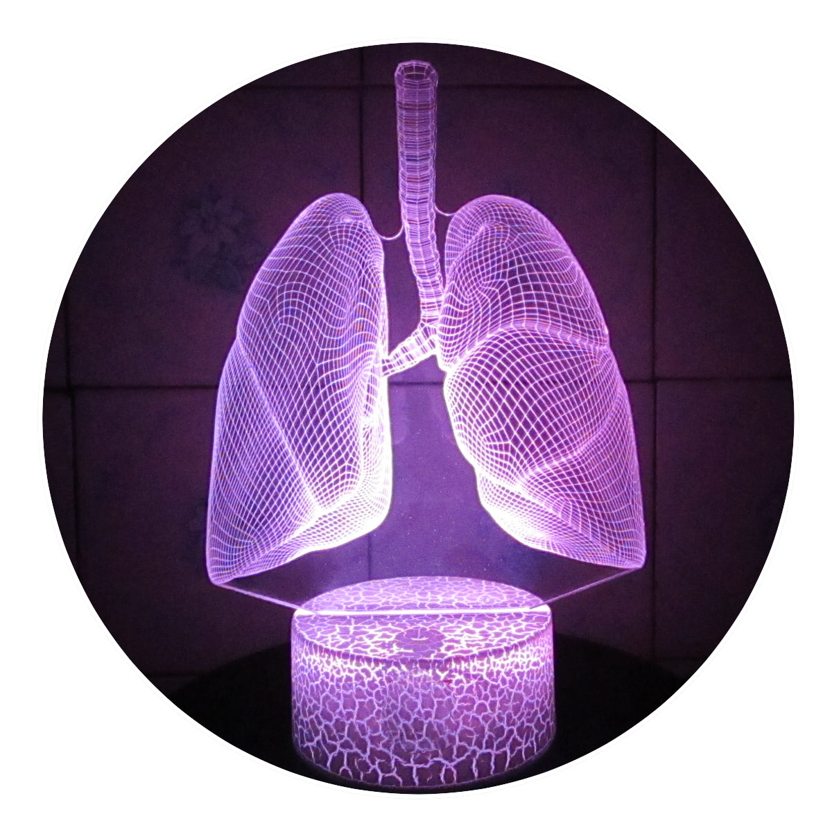 Lámpara 3D Led Pulmones Anatomía Cuerpo Humano