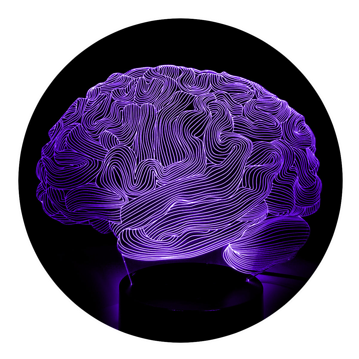 Lámpara 3D Led Cerebro Anatomía Cuerpo Humano