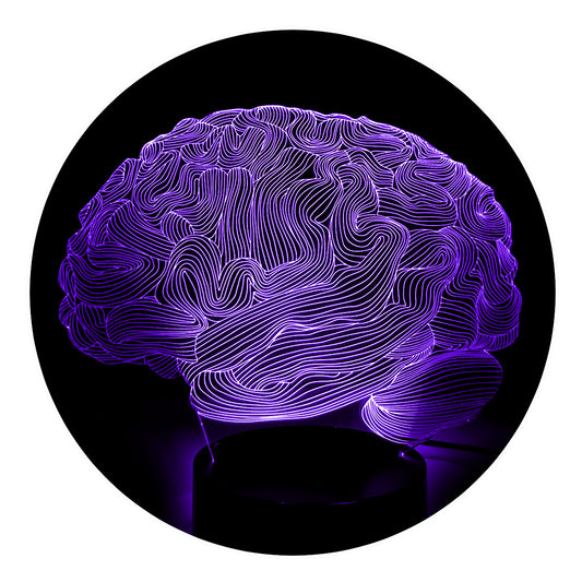 Lámpara 3D Led Cerebro Anatomía Cuerpo Humano